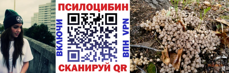 дарнет шоп  Тейково  Галлюциногенные грибы Psilocybine cubensis 
