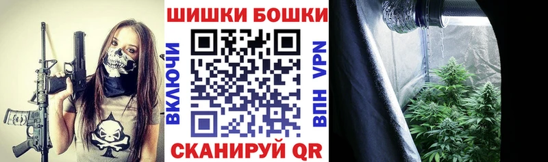 где найти   Тейково  MEGA онион  Шишки марихуана SATIVA & INDICA 